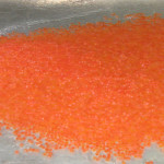 Incubator loading of Pink Salmon eggs
