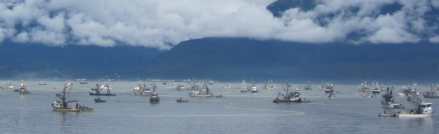 Valdez Fisheries Development Foundation